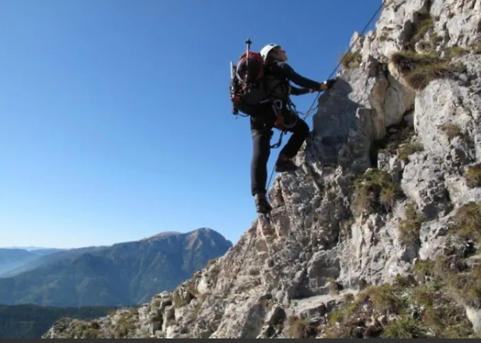 Radwerk 14 Apartament *